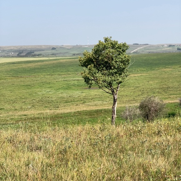 Meet your Posher, Deb - Picture 2 of 2